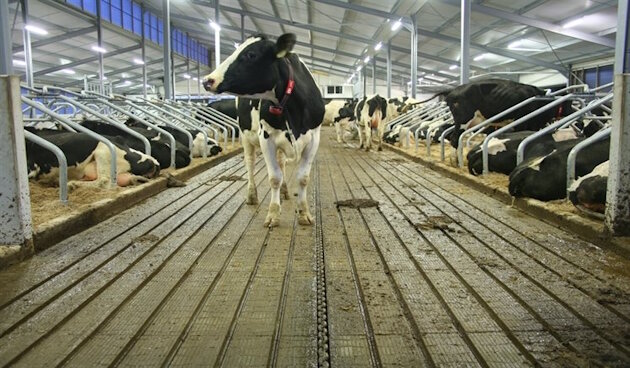 BIOhumat voor gebruik in de stal